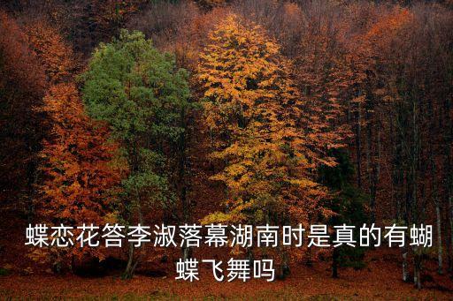  蝶恋花答李淑落幕湖南时是真的有蝴蝶飞舞吗