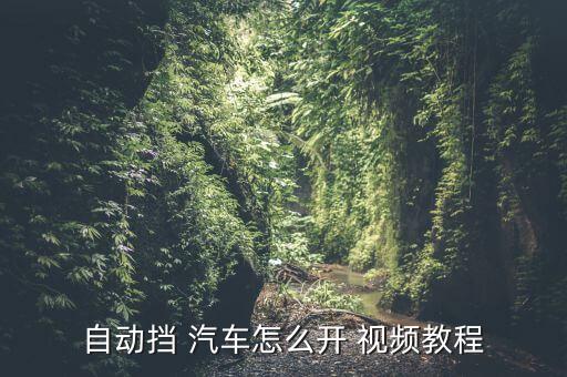 自动挡 汽车怎么开 视频教程