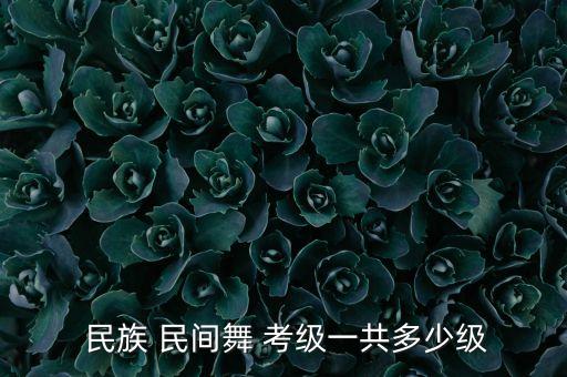 民族民间舞蹈考级五级,中国民族民间舞蹈考级培训学校开放报名