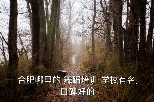 合肥舞蹈学校电话号码,合肥沙尘暴舞蹈社会邀孩子一起来学舞蹈