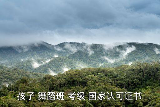 孩子 舞蹈班 考级 国家认可证书