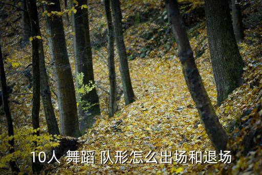十三人舞蹈队形图片,这些军队的服役和训练有何不同?
