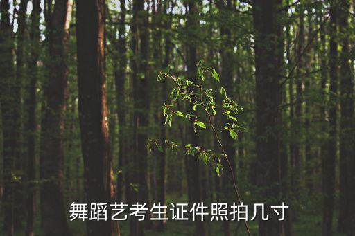  舞蹈艺考生证件照拍几寸