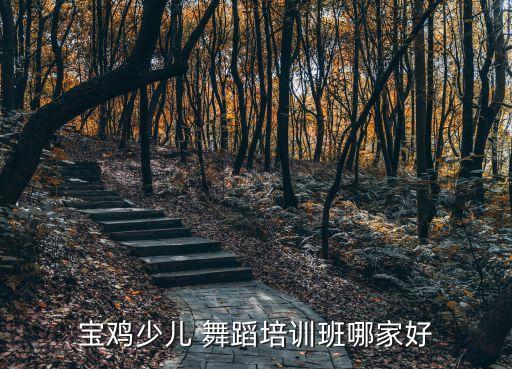 新蔡那家舞蹈班好,选择好学校和好教育机构一起来看看!