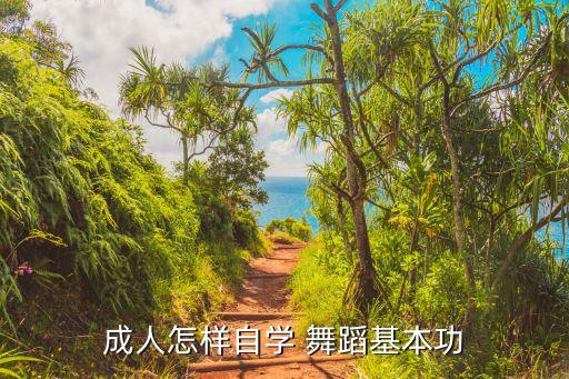 成人怎样自学 舞蹈基本功
