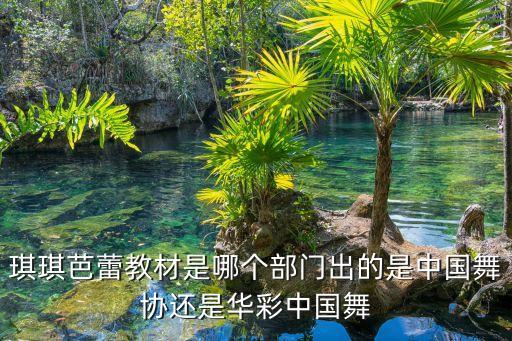 琪琪芭蕾教材是哪个部门出的是中国舞协还是华彩中国舞