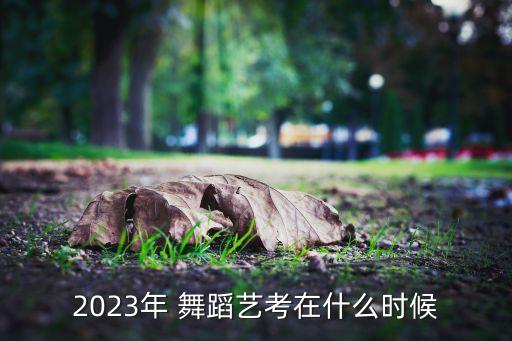 五一舞蹈,舞蹈性能适合这样的活动4月清明营和五一营