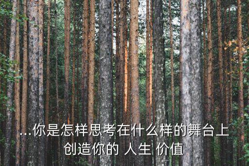 ...你是怎样思考在什么样的舞台上创造你的 人生 价值