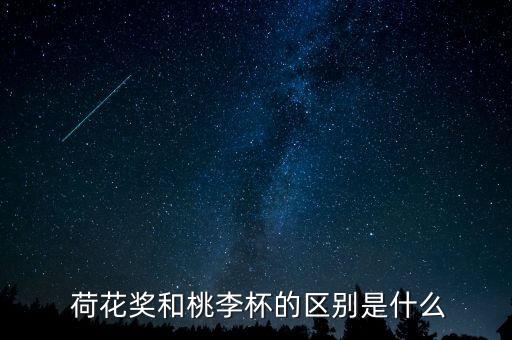 第九届舞蹈荷花奖,中国舞蹈"荷花奖"由中国文联、中舞协主办