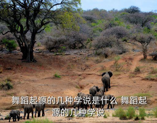  舞蹈起源的几种学说是什么 舞蹈起源的几种学说