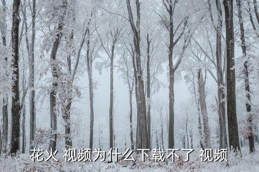 火花舞蹈的视频,火花视频下载没了因为app被下架