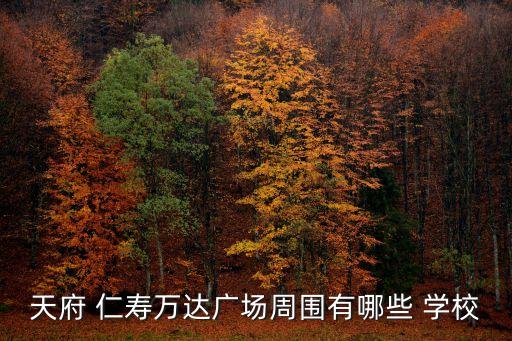 天府 仁寿万达广场周围有哪些 学校