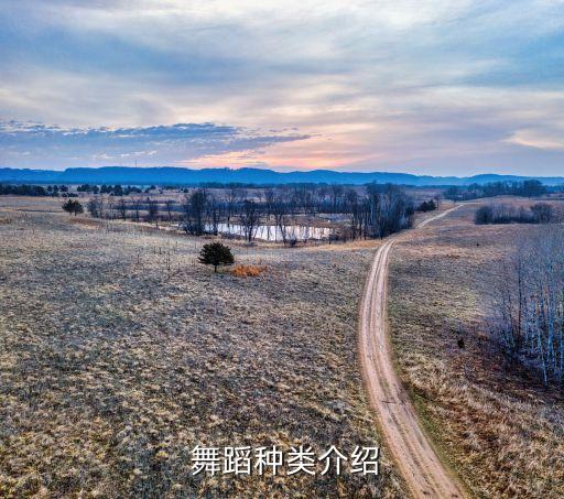  舞蹈种类介绍