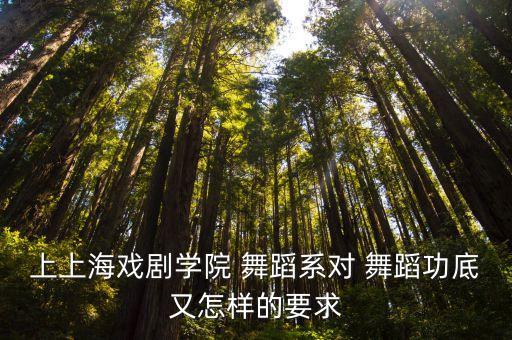 上上海戏剧学院 舞蹈系对 舞蹈功底又怎样的要求