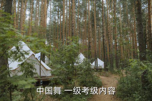 中国舞一级幼儿舞蹈,中国舞蹈考级从何而来?
