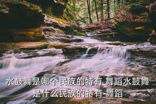 水鼓舞是哪个民族的特有 舞蹈水鼓舞是什么民族的特有 舞蹈