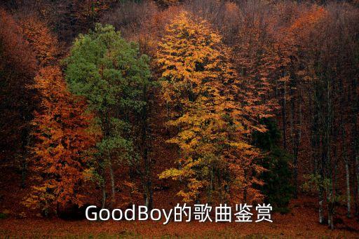 GoodBoy的歌曲鉴赏