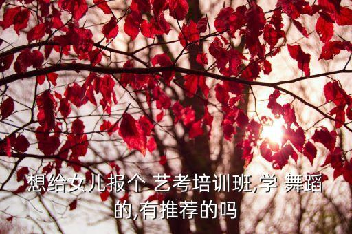 想给女儿报个 艺考培训班,学 舞蹈的,有推荐的吗