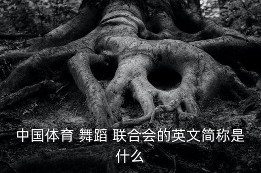 中华舞蹈联合会,中国舞协会会员可以考吗?
