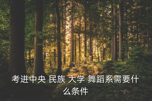 考进中央 民族 大学 舞蹈系需要什么条件
