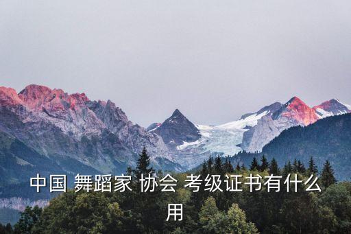 中国 舞蹈家 协会 考级证书有什么用