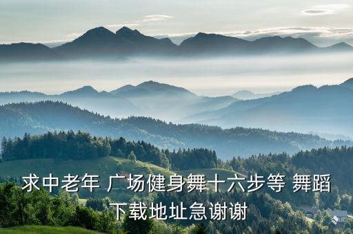 求中老年 广场健身舞十六步等 舞蹈 下载地址急谢谢