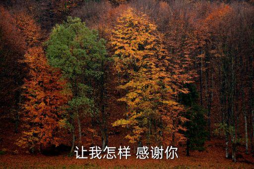 让我怎能样感谢你舞蹈,汪国真百年校庆诗:感谢你