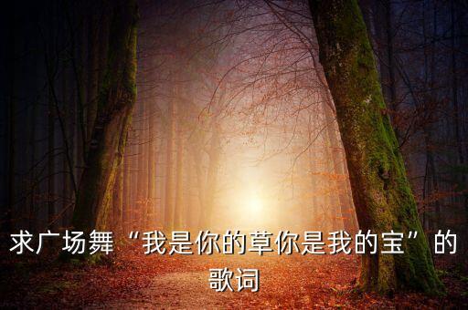 求广场舞“我是你的草你是我的宝”的歌词
