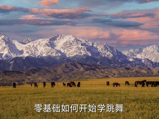 舞蹈的第一步教程,四步舞基本步法公式网上搜一堆教程