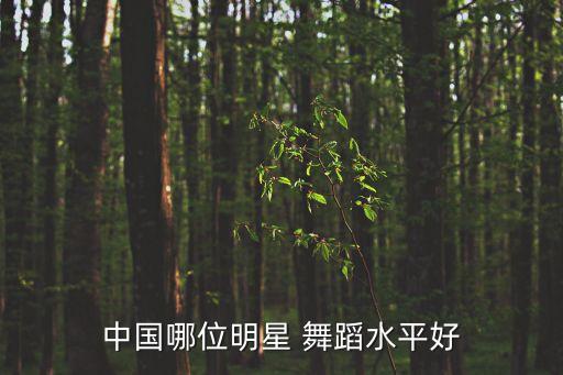 中国哪位明星 舞蹈水平好