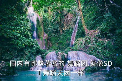 国内有哪些著名的 舞蹈团,就像SDT 舞蹈天团一样