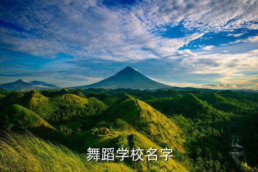  舞蹈学校名字