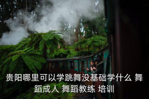 贵阳哪里可以学跳舞没基础学什么 舞蹈成人 舞蹈教练 培训