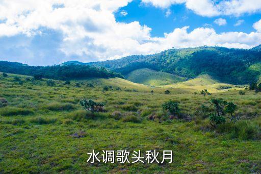 凯歌舞蹈视频教学,我和影子一起跳舞