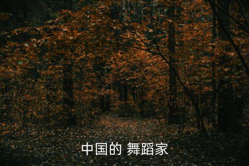 中国 著名的男舞蹈,中国-1舞蹈团队排练新舞蹈风格