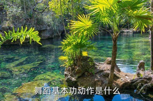 舞蹈翻身转,舞蹈，基本功是最重要的基础