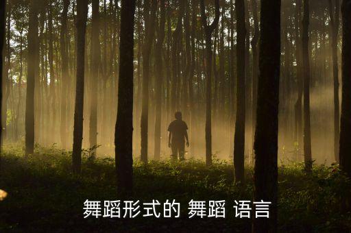  舞蹈形式的 舞蹈 语言