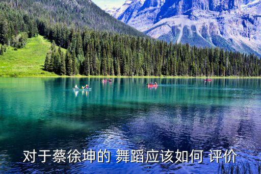 对舞蹈评价,新传统文化与现代舞结合