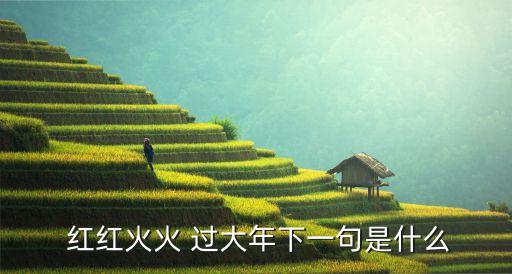  红红火火 过大年下一句是什么