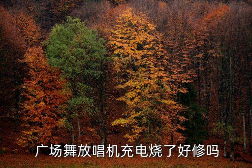  广场舞放唱机充电烧了好修吗