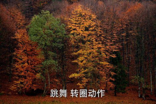 跳舞 转圈动作