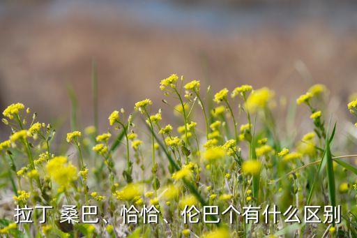 桑巴舞蹈风格特点,音乐有趣舞蹈动作整齐紧凑