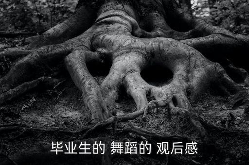 舞蹈 观后感,第二集:《麻雀之灵》赏舞蹈也是学习