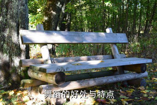 怎样形容舞蹈跳的好处,跳舞塑形美颜又燃脂!