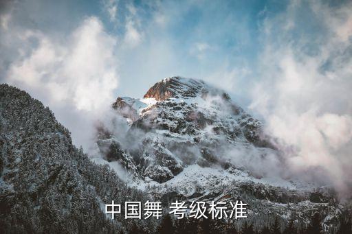 中国舞 考级标准