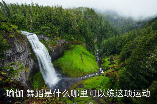 西城舞蹈视频,瑜伽与舞蹈相结合的优美健身运动