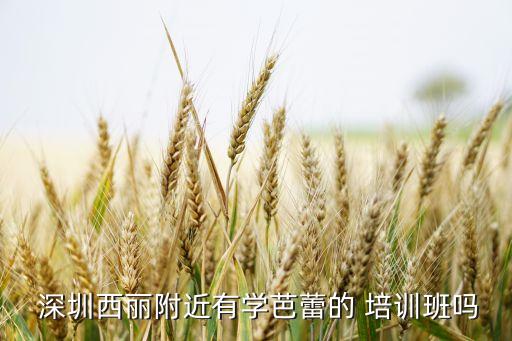 深圳开办舞蹈培训班,深圳变态舞蹈培训中心舞蹈专业教练
