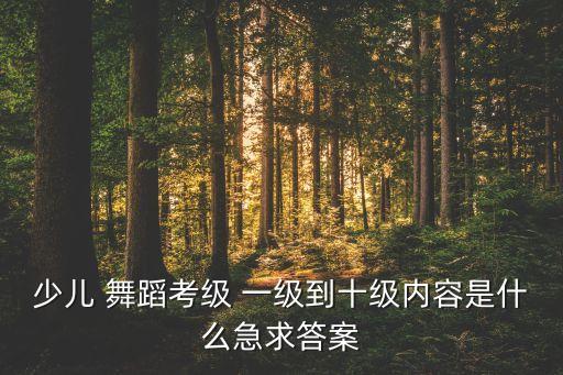 舞蹈一级考试考什么,中国舞蹈等级考试（一）