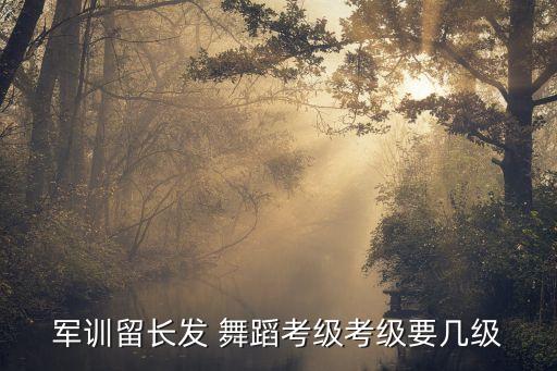 民族舞蹈考级长辫子,中国民族民间舞四级考试:1,表演分级