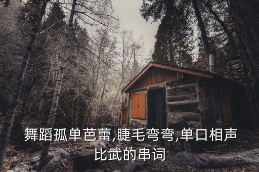 儿童舞蹈黑眼睛,第二集:《我是中国娃》